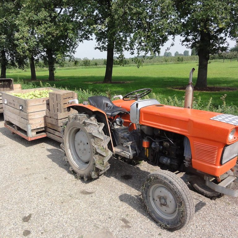 Bildquelle: Havang(nl), Beuningen fruit oogsttijd 4, CC0 1.0